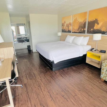 Days Inn & Suites By Wyndham - Canton First Monday Trade Days Екстериор снимка